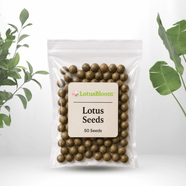 LotusBloom™